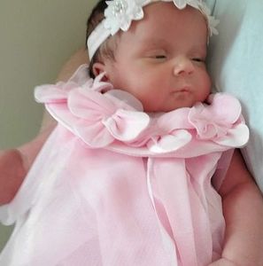 Meet your Posher, Wanda